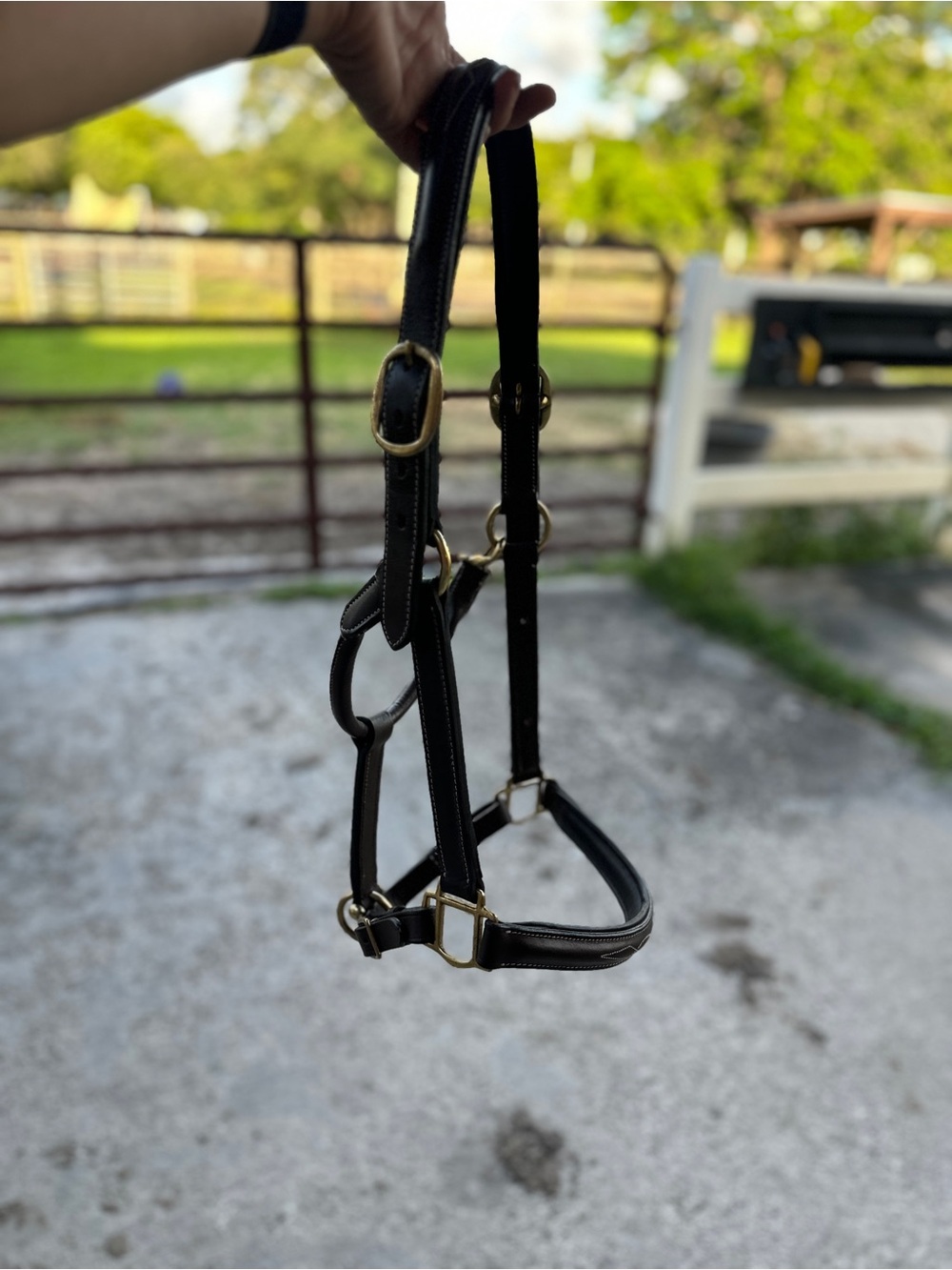 Brown Leather Horze horse Halter with White Stitching - Picture 7 of 8
